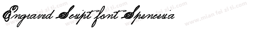Engraved Script font Spencerian Scr字体转换